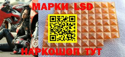 стаф Добрянка