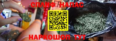 стафф Долгопрудный