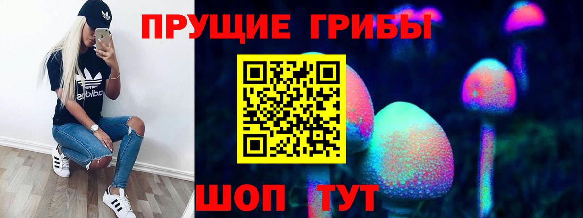 Галлюциногенные грибы MAGIC MUSHROOMS  Вход с VPN  Добрянка 